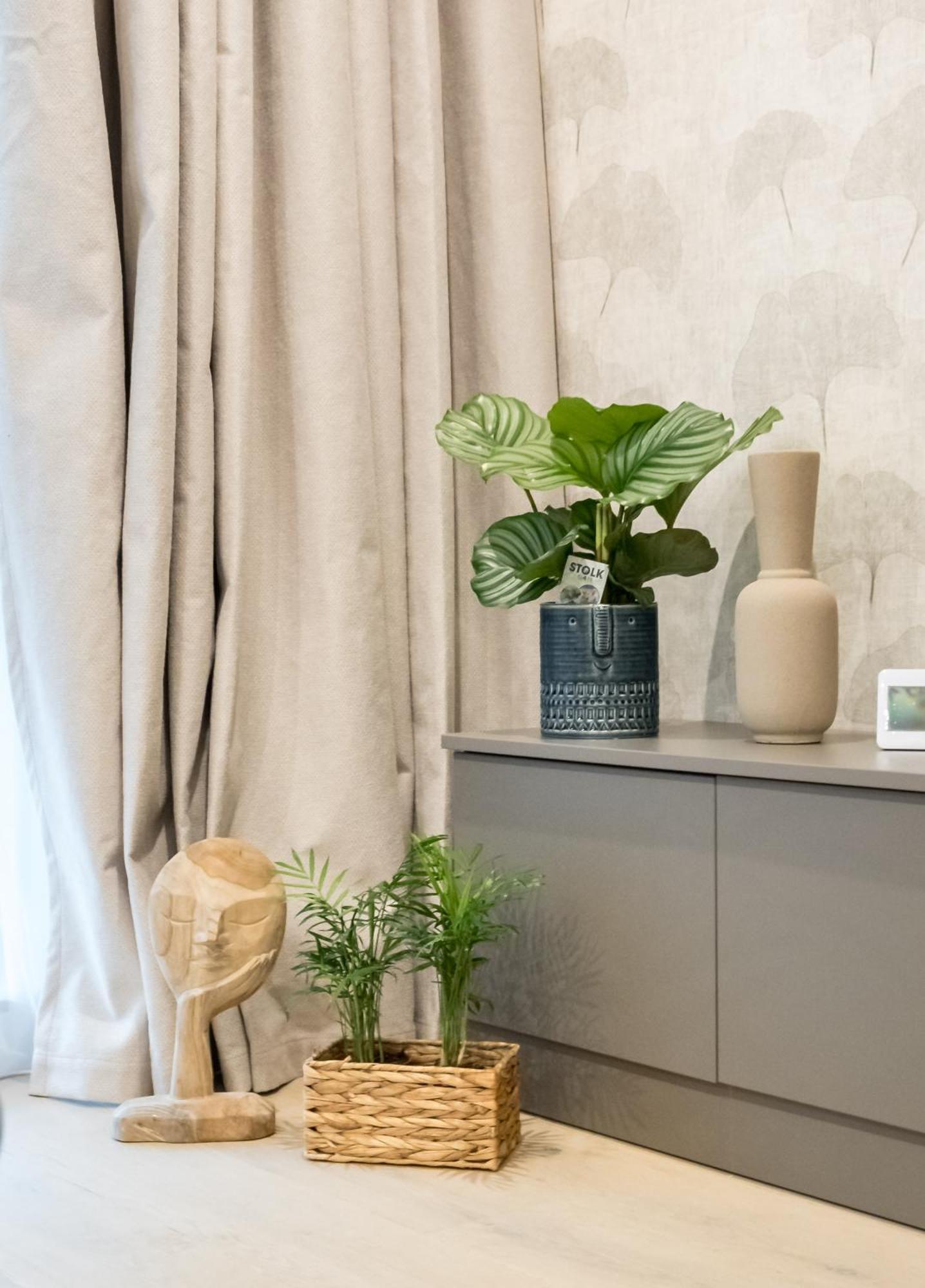 Mediteranian 1br In Nusco Appartamento Bucarest